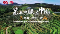 龙岩普惠金融 终版_Moment_副本.jpg